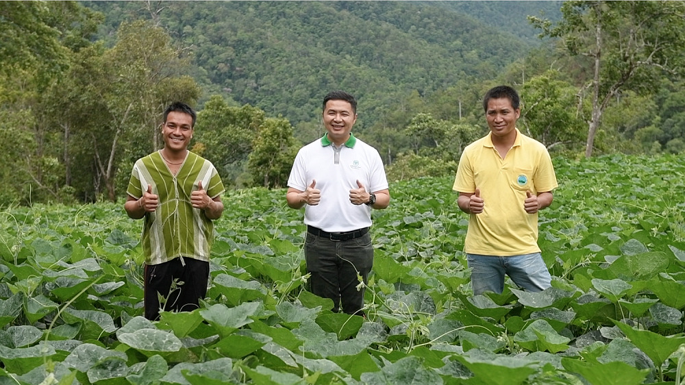 CP joins forces with Lotus to get “pumpkin” from Omkoi farmers